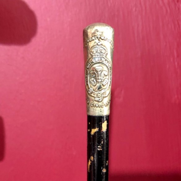 Swagger Stick 2
